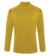 Picture of Long Sleeves Jersey Monolith